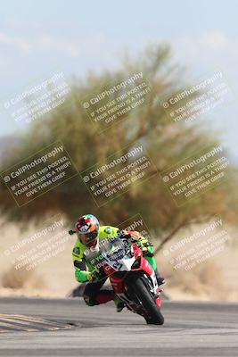 media/Oct-13-2025-Moto Forza (Mon) [[a66d839500]]/3-B Group/Session 4 Turn 4 Tree of Life/